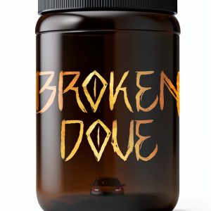 Institute Thirteen Book 2 Kindle Fantasy Series New Adult-0