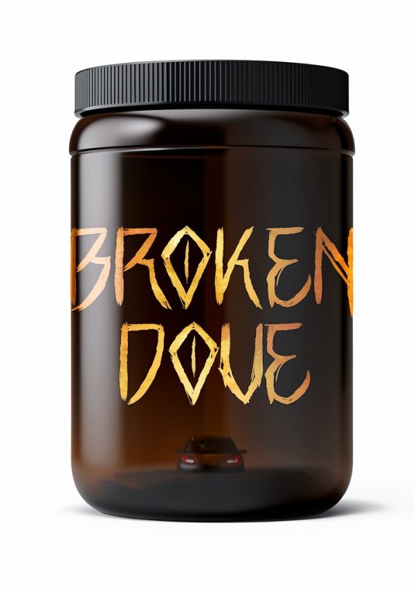 Institute Thirteen Book 2 Kindle Fantasy Series New Adult-0